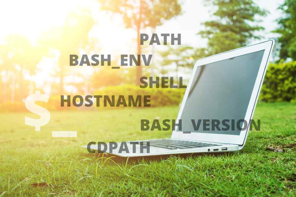 a-complete-guide-to-the-bash-environment-variables